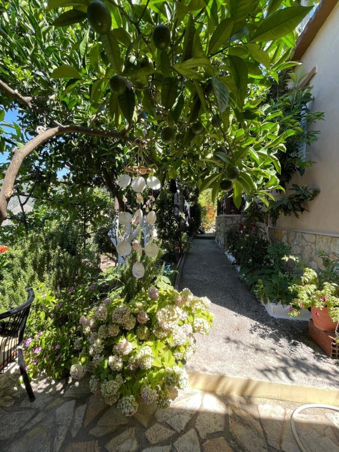 Ona'S House Βίλα Borsh Εξωτερικό φωτογραφία